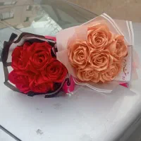 رز روبانی