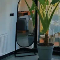 تنوع بالا آینه قدی ، کیفت بالا ، قیمت پایین