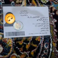 کارت پیدا شده