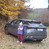 فونیکس fx