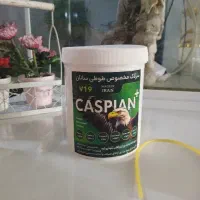 سرلاک پرندگان
