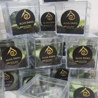 هدیه کادویی تراریوم حلزون