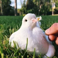 ختم قرآن کریم