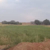 زمین چهاردیواری باتمام امکانات و مرغداری