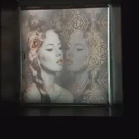 زبرا دو مکانیزم