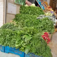 سبزیجات تازه نیشابور