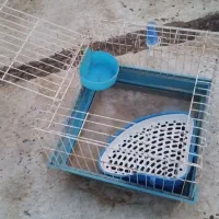 قفس خرگوش