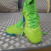 کفش سالنی سالم