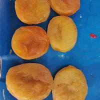 قیسی