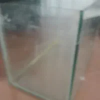 تنگ