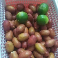 خارک