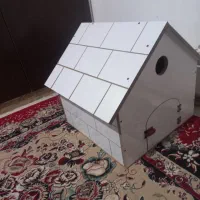 باکس سگ