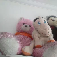 تعدادی عروسک باقیمت مناسب