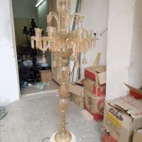 کنار سالنی (آباژور) ۷ شعله عسلی پرکار
