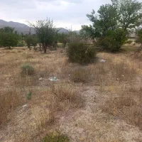 زمین سربیژن