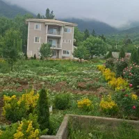 باغبان مجرد افغان