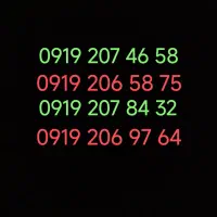 0919.92.56.206