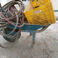 فرغون