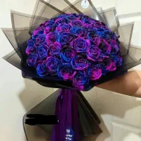 گل رز روبانی