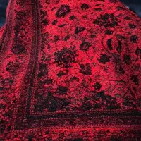 روفرشی جدید بردیا