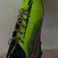 استوک نو