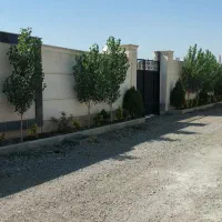 زمین مسکونی سهیلیه