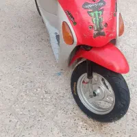 پاکشتی پالت
