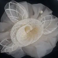 کلیپس گیره