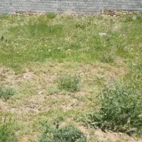 زمین مسکونی در بیله سوار