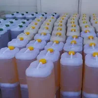 روغن کنجد و روغن ارده کنجد
