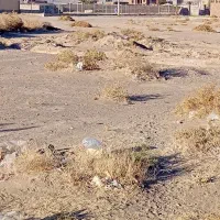زمین-ناصری-فروش