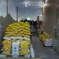 فروش عمده برنج جنوب