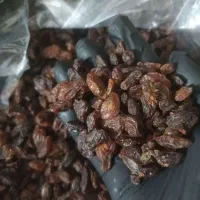 کشمش افتابی کاشمر