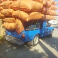 فروش‌کاه‌ کوبیده درجه یک گندم تحویلی