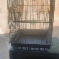 قفس عروس هلندی ۱۰۳۳ درحد نو سالم