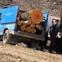 خریدارچوب