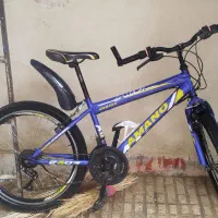 دوچرخه 24