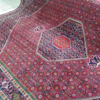 دوازده متری زنجان ماهی