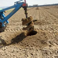 گوده زن درخت