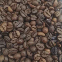 بازرگانی دردانه سبزظفر