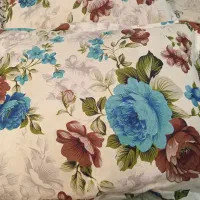 ۲ عدد بالشت پر