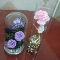 دوعددگلدون شیک برای هدیه