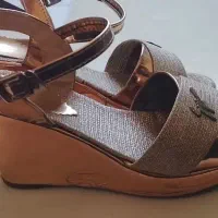 کفش مجلسی