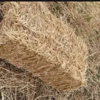 پرس گندم جو