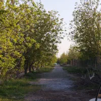 باغچه-به-متراژ-490متردرباباسلمان-به-فروش-می-رسد