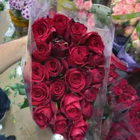 فروش عمده رز  درجه1فول رنگ بندی