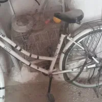دوچرخه 26باسبد