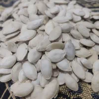 تخم کدو|خوردنی و آشامیدنی|پارسآباد, |دیوار