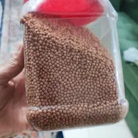 غذای ماهی