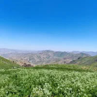 کمپینگ و کوهنوردی